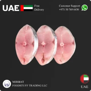 Frozen King Fish Slice supplier in Abu Dhabi