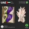 NAT Chicken Feet Big size Supplier in UAE