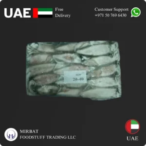 Frozen Squid whole 20/40 size UAE origin SUPPLIER IN uae