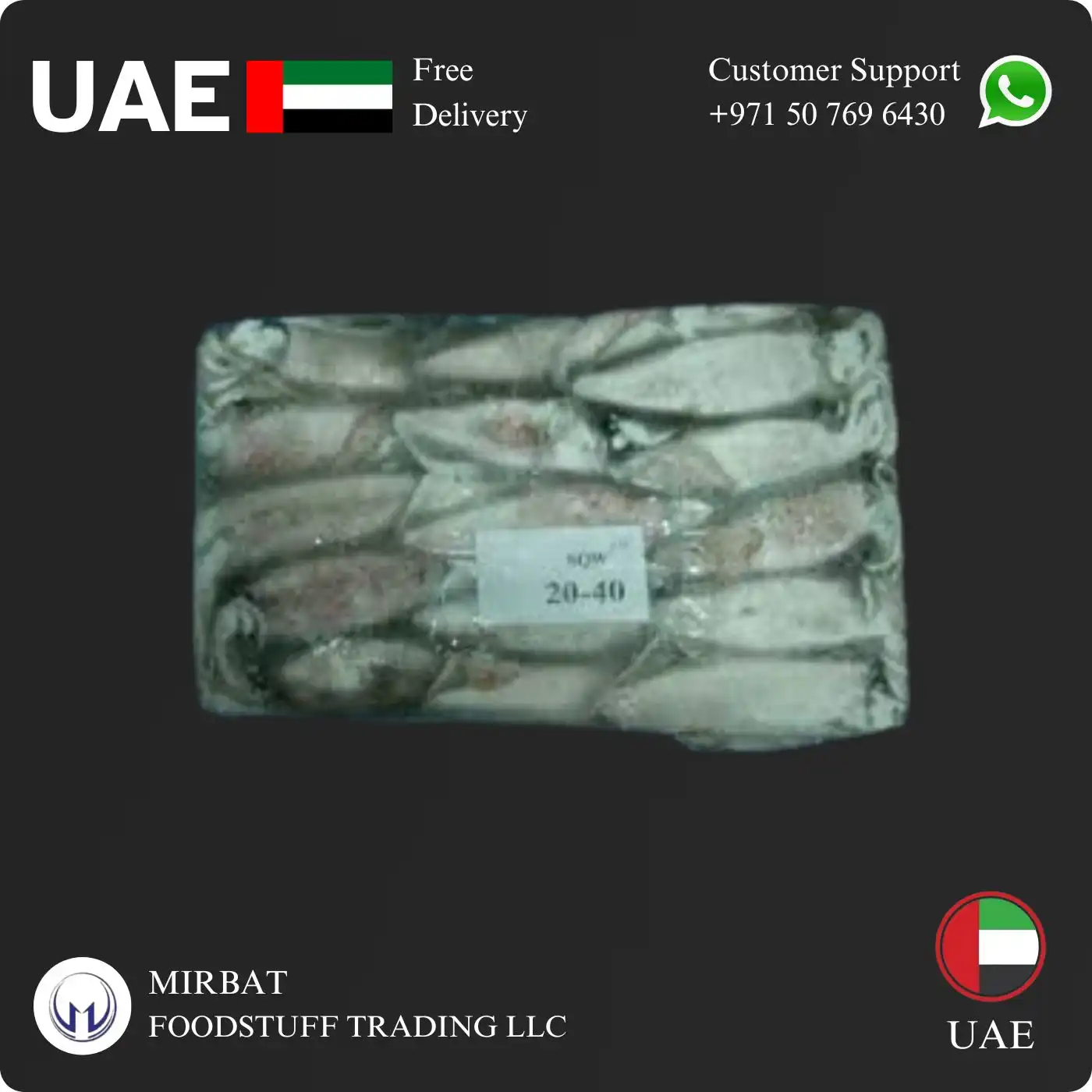 Foodstuff Supplier Frozen Squid whole 20/40 size UAE origin SUPPLIER IN uae