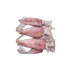Frozen Squid whole 3/6 - 2 kg