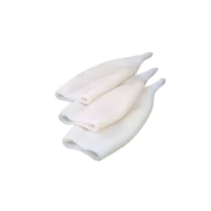 Frozen Squid Tube 1 kg packet