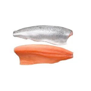Frozen Salmo Fillet Skin On