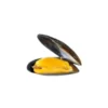Frozen Half Shell Mussels China