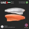 Frozen Salmon Fillet Skin On Norway price in UAE