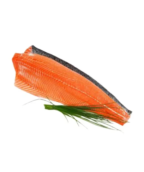 Foodstuff Supplier Frozen salmon fillet skin on