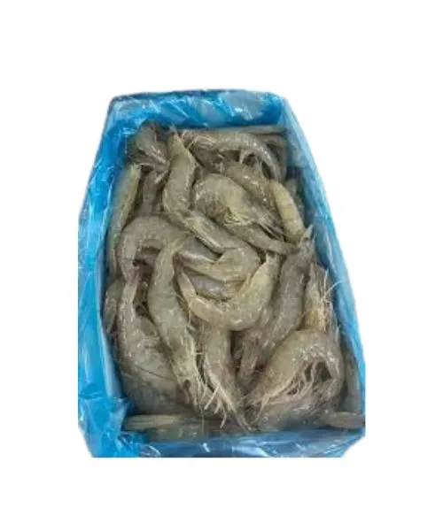 Iranian Shrimps 50/60 size suppliers in UAE