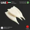Frozen Squid Tube 3 pcs Suppliers in UAE