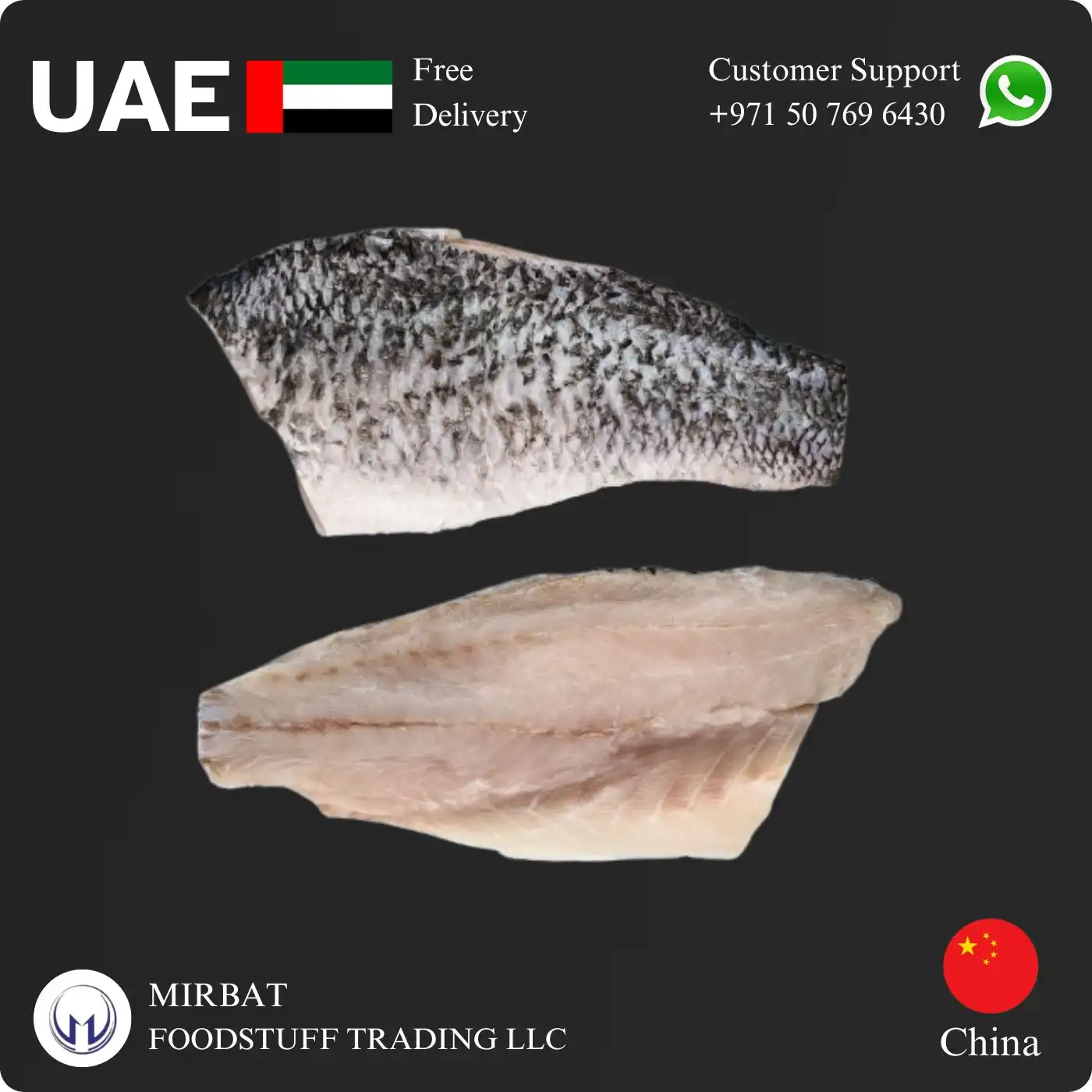 Foodstuff Supplier Frozen Barramundi Fillet skin on 500/700g size suppliers in UAE