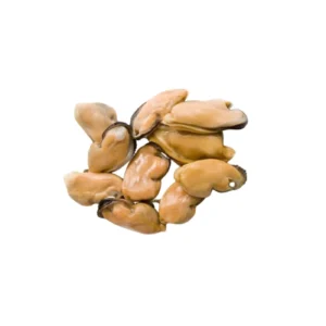 Frozen Mussels Meat China