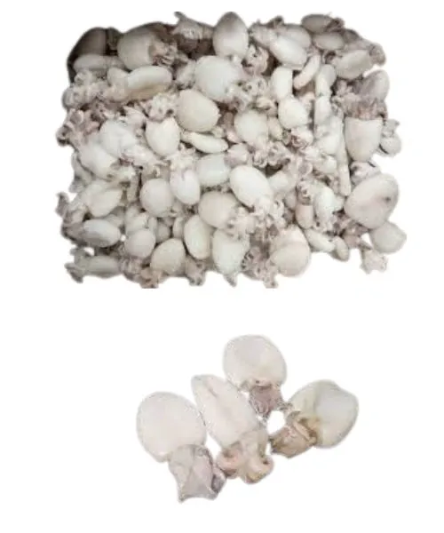 Foodstuff Supplier Frozen Baby cuttlefish suppliers in UAE