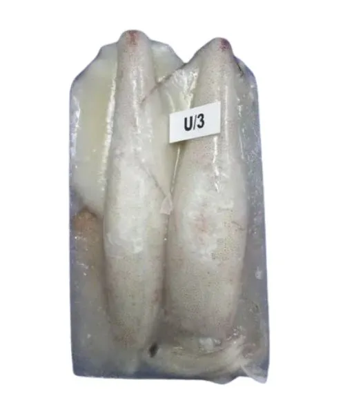Frozen Squid whole U3 suppliers in Al Qouz