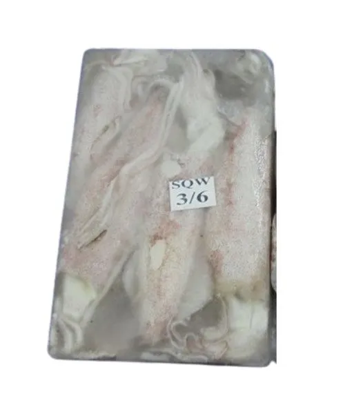 Foodstuff Supplier Frozen Squid whole 3/6 price in Dubai