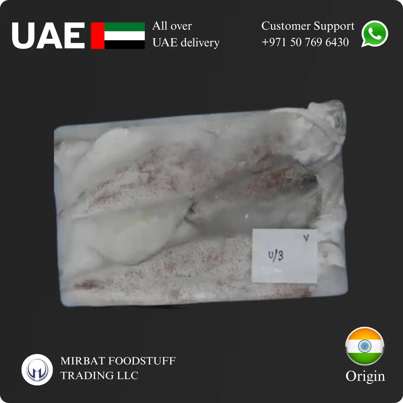 Foodstuff Supplier Frozen Squid whole U3 suppliers in Dubai