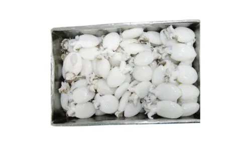 Foodstuff Supplier Frozen baby cuttlefish cleaned 20/40 price in Dubai