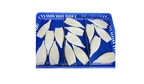 Foodstuff Supplier Frozen Squid Tube 5 to 7 pcs price in UAE