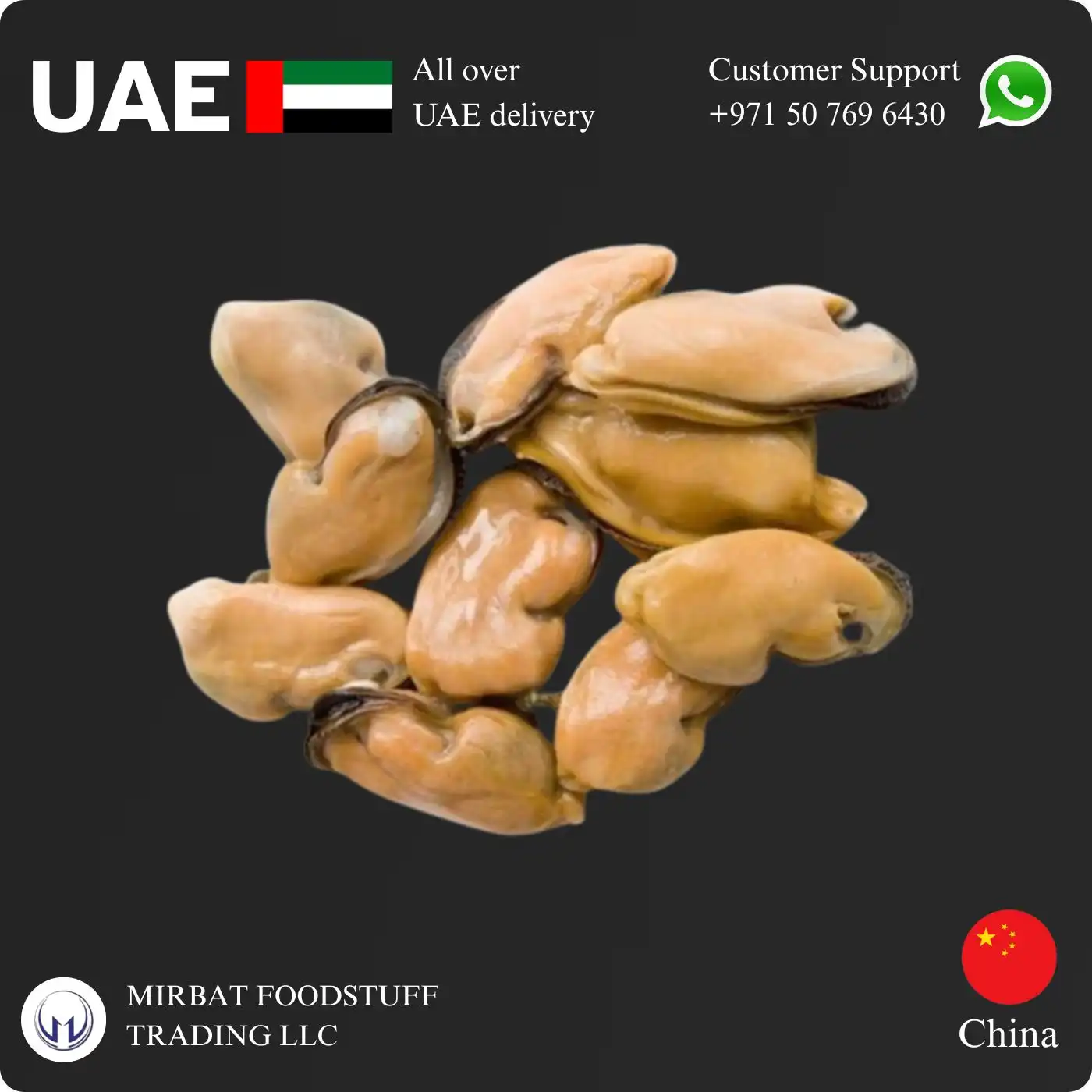 Foodstuff Supplier Frozen Mussels Meat China price in Abu Dhabi
