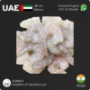 Shrimps PD 31/40 Price in UAE