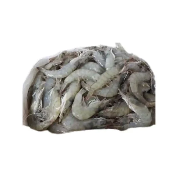 Iranian Shrimps 30/40 size suppliers Dubai