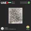 Shrimps PD 61/70 Suppliers in UAE