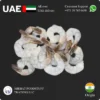 Shrimps PD Tail on 11/15 price in Dubai