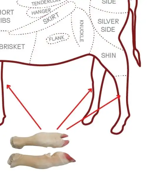 Foodstuff Supplier Frozen Beef feet price in Dubai