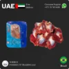 Bellaves Chicken Gizzard Supplier in UAE
