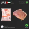 Seara Chicken Thigh Boneless Supplier in UAE