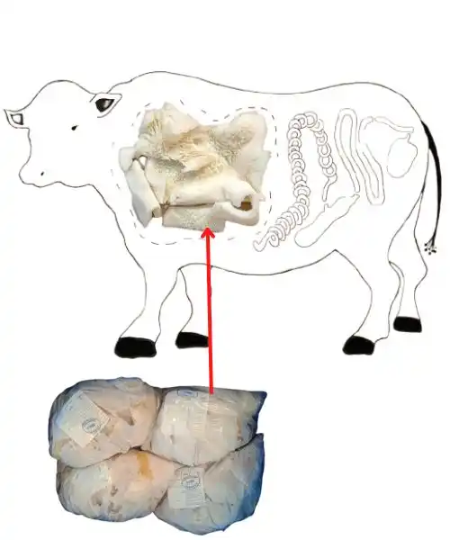 Foodstuff Supplier Beef tripe price in Dubai