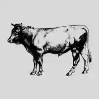 Beef