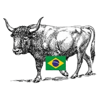 Brazil OX