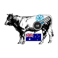 Frozen Australian Beef