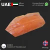 Frozen Salmon Fillet Norway Glazed KOHO suppliers in UAE