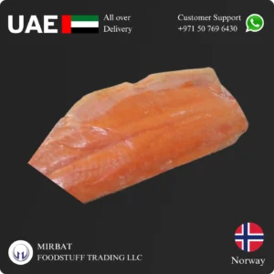 Frozen Salmon Fillet Norway Glazed KOHO suppliers in UAE