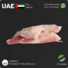 Frozen Nile Purch Fillet 2/3 size suppliers in UAE