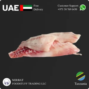 Frozen Nile Purch Fillet 2/3 size suppliers in UAE