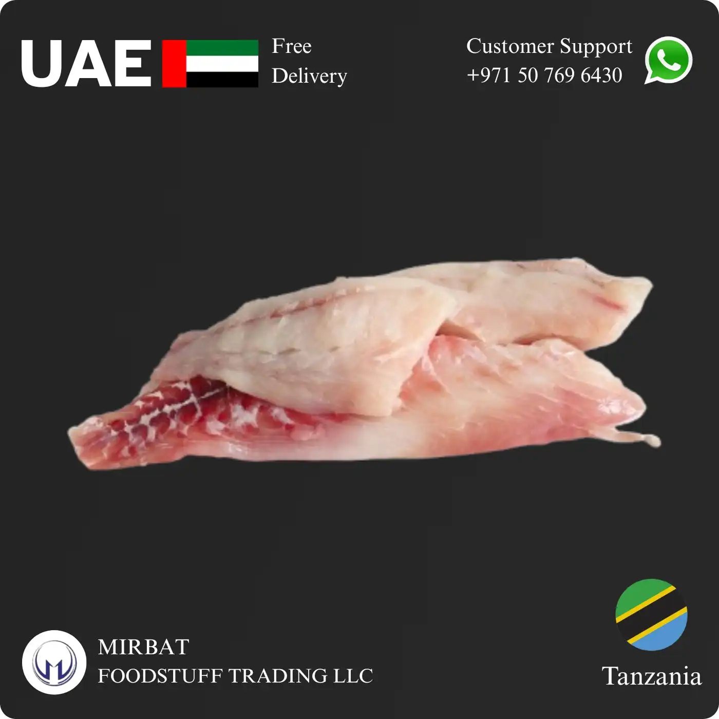 Foodstuff Supplier Frozen Nile Purch Fillet 2/3 size suppliers in UAE