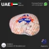 Mutton Leg Boneless Fletcher Brand Supplier in UAE