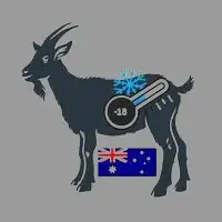 Frozen Australian Mutton