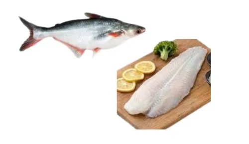 Foodstuff Supplier Frozen Basa Fillet Cream dory 3pcs 500 UP