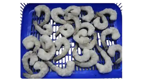 Foodstuff Supplier 11/15 tail on price Abu Dhabi