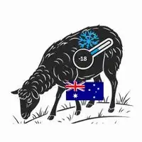 Frozen Australian Sheep