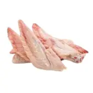 Chicken Wings Tips