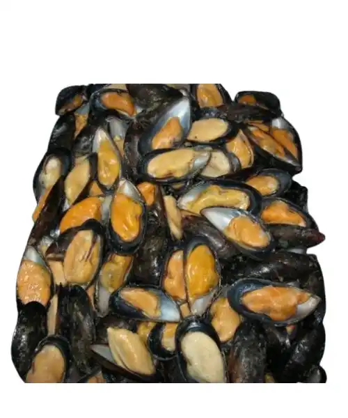 Foodstuff Supplier Half Shell Mussels China price