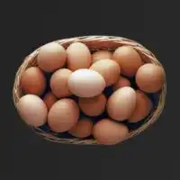 Foodstuff Suppliers in UAE