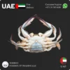 Frozen whole crab 300 gram size supplier in UAE