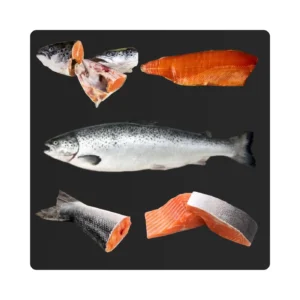 Frozen Salmon