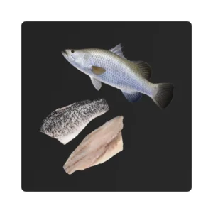 Barramundi Fillet