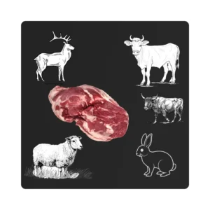 Meat by Animal