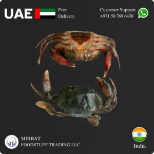 Frozen Soft Shell Crab 80-120 gram Indian supplier in UAE